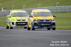 ME Truck - Clio Cup
