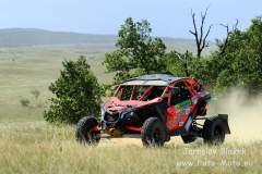 Hungarian Baja