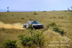 Hungarian Baja
