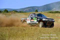 Hungarian Baja