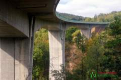 Bungee Jumping