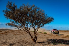 DAKAR 2020 - 1. Etapa