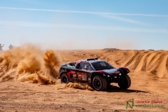 DAKAR 2020