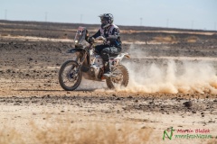 DAKAR 2020 - 4. etapa
