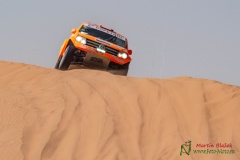 DAKAR 2020 - 8. etapa