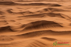Dakar 2020