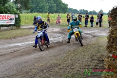Stadion Cup