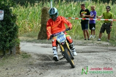 Stadion Cup