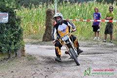 Stadion Cup