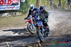 Stadion Cup