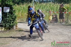 Stadion Cup