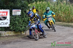 Stadion Cup